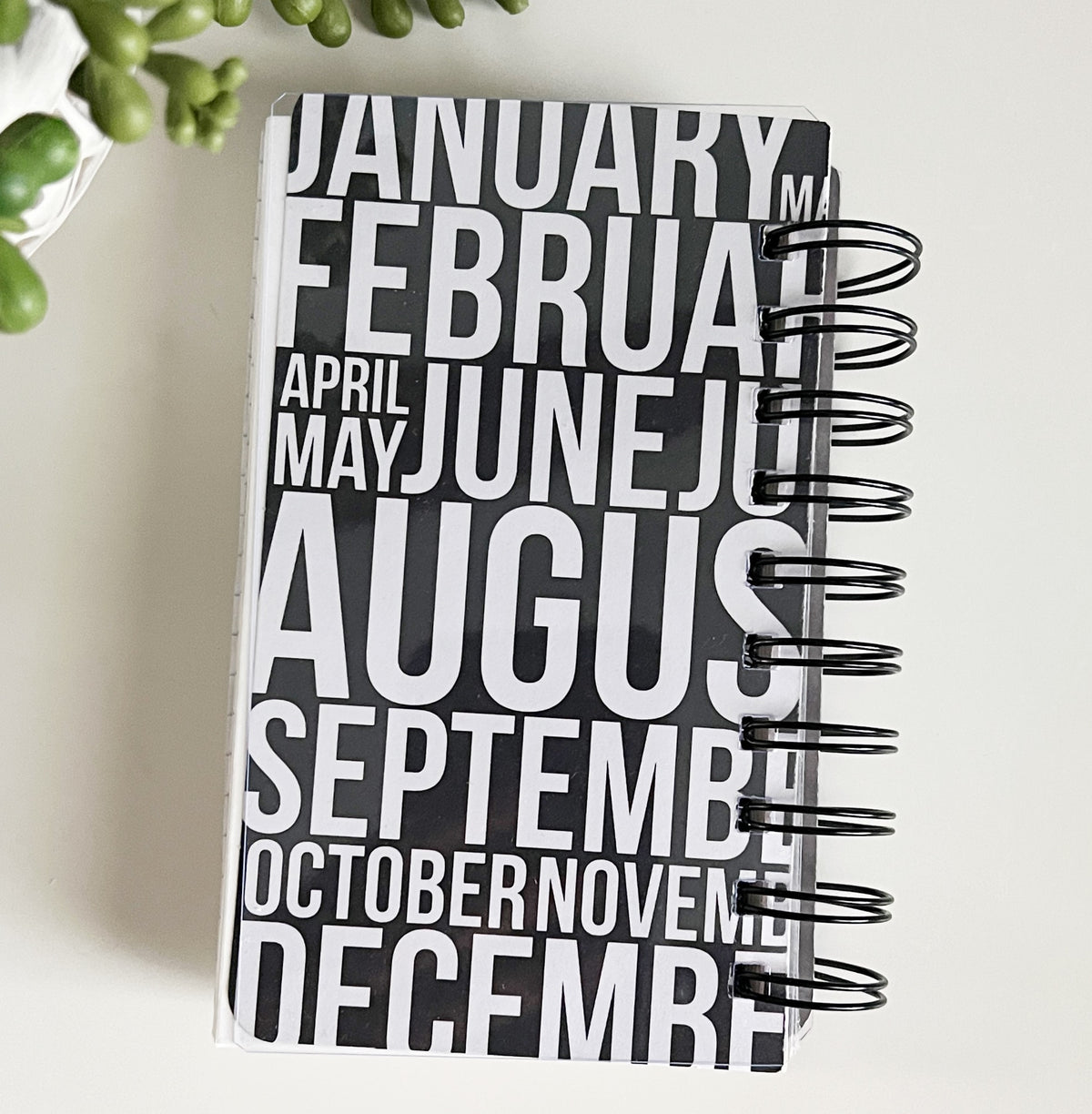 Journal -Small size, Big Alpha: Address Notebook