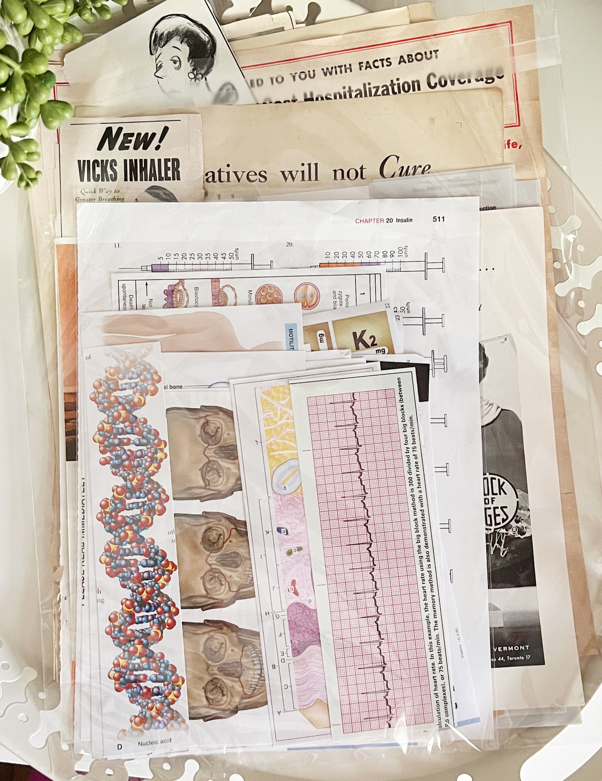 Medical - Medicine: Junk Journal Pack