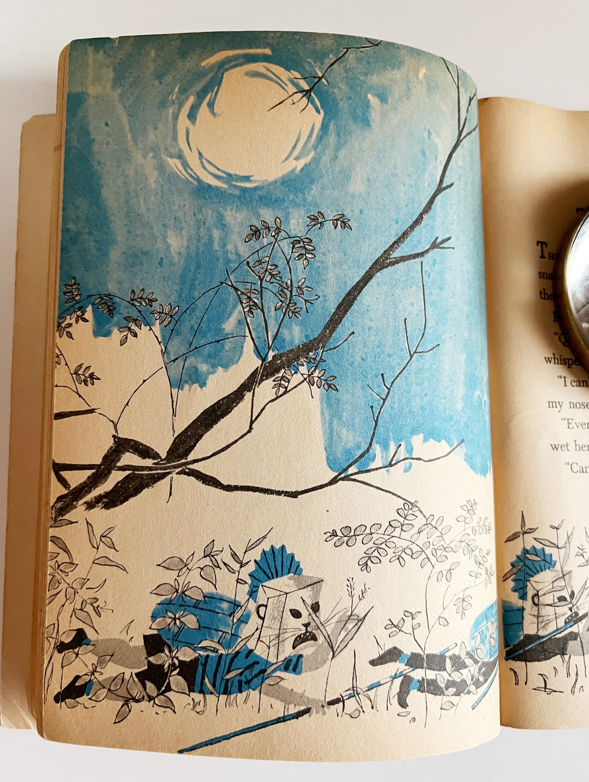 The Secret Hide -out: John Peterson - Paperback 1965