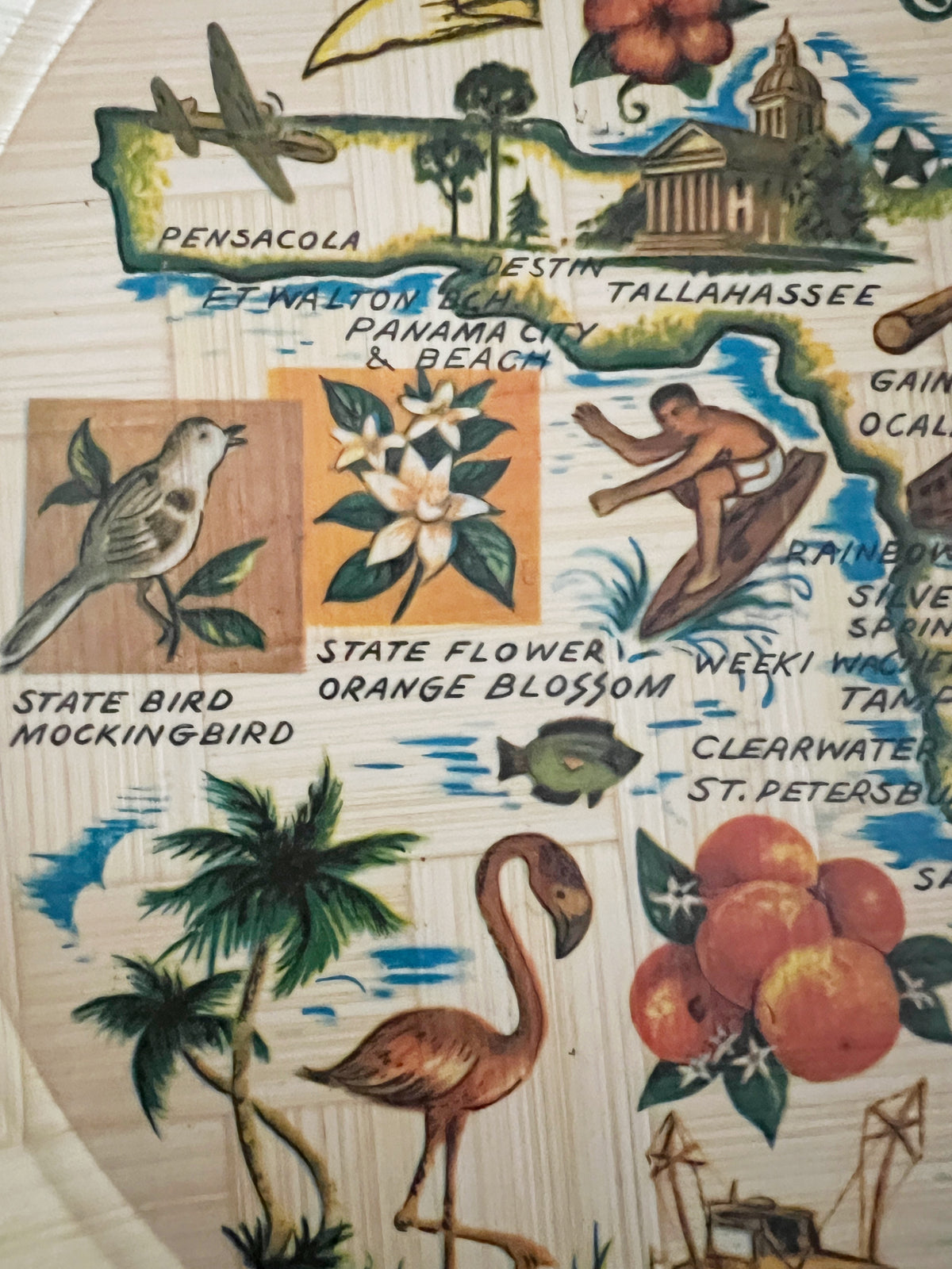 A close-up of a vintage-style printed map or poster featuring Florida landmarks and illustrations, including Pensacola, Tallahassee, Panama City, a mockingbird, an orange blossom flower, a flamingo, palm trees, and oranges. Handwritten text is visible across the print.