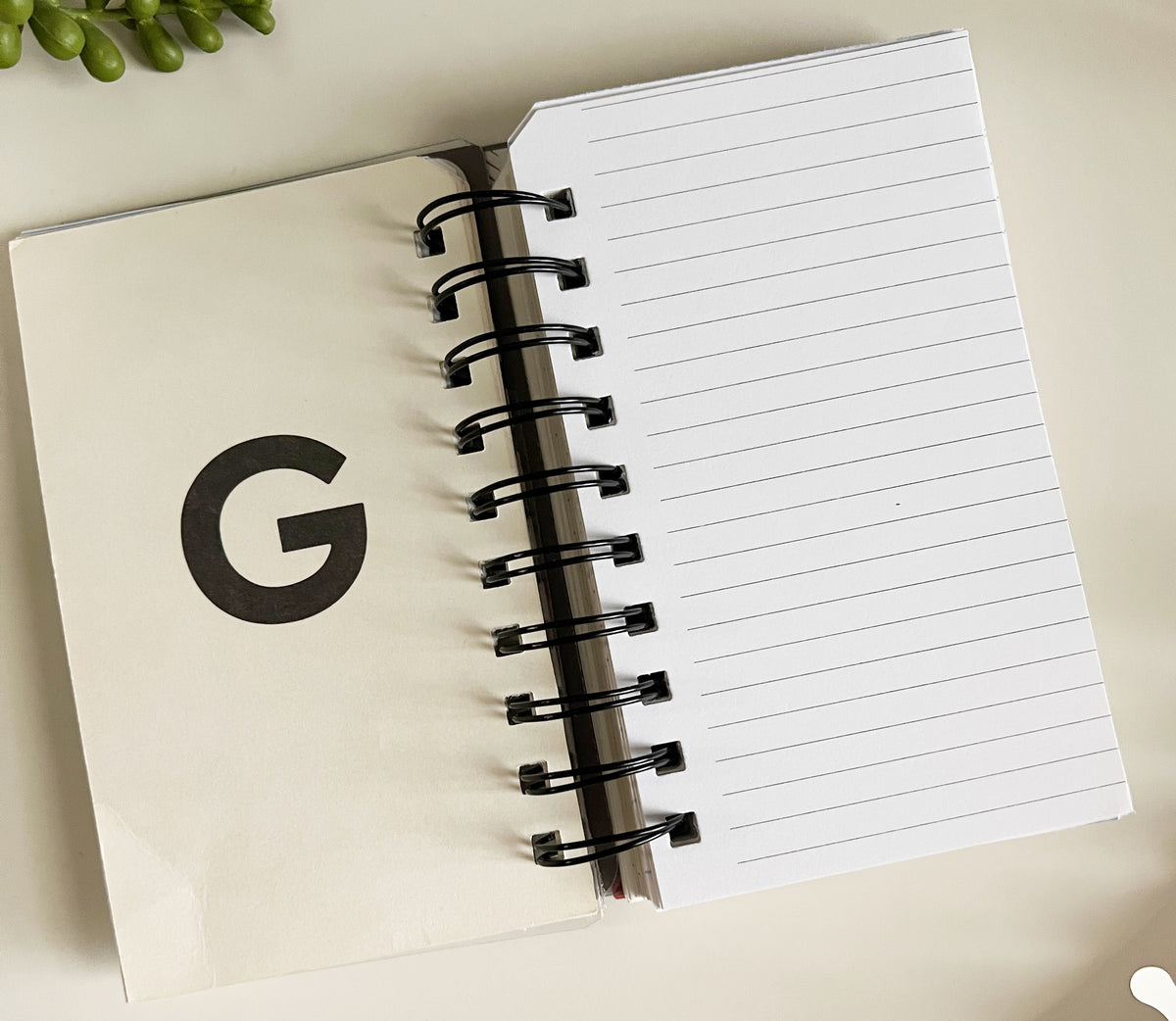 Journal -Small size, Big Alpha: Address Notebook