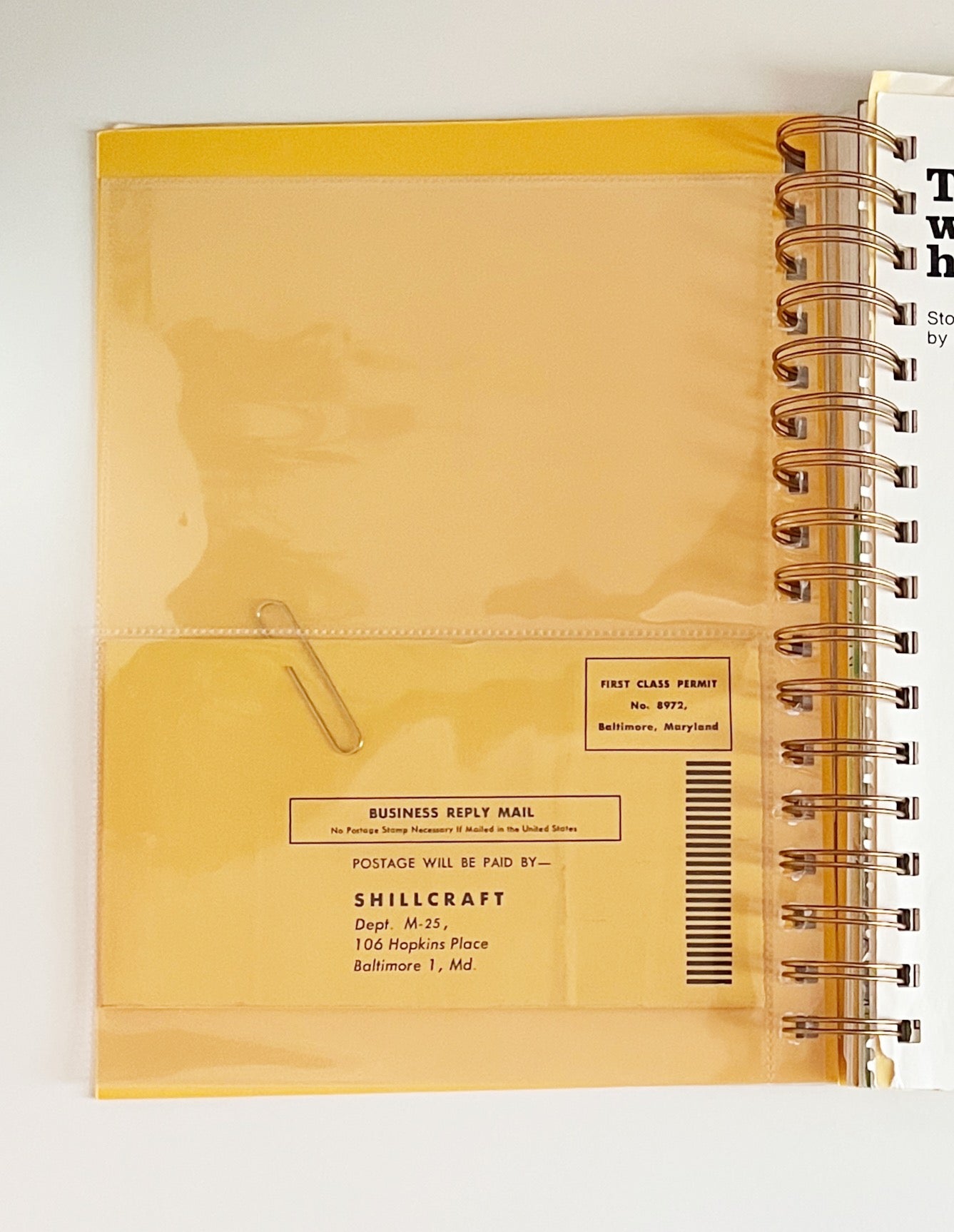 Journal - The Lion Who Wouldn't Brush His Teeth