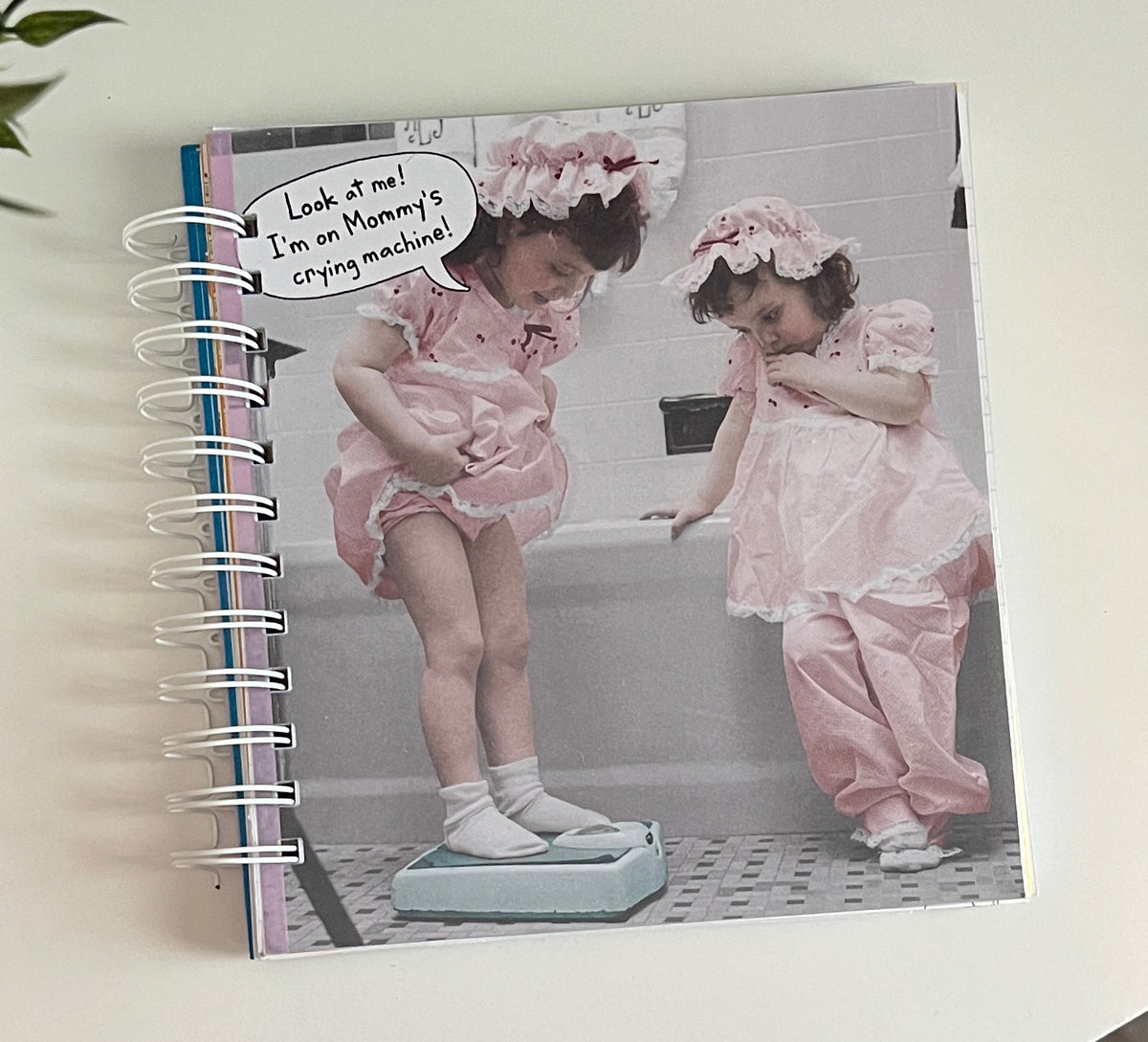 Journal - Irregulars: Girls will be Girls