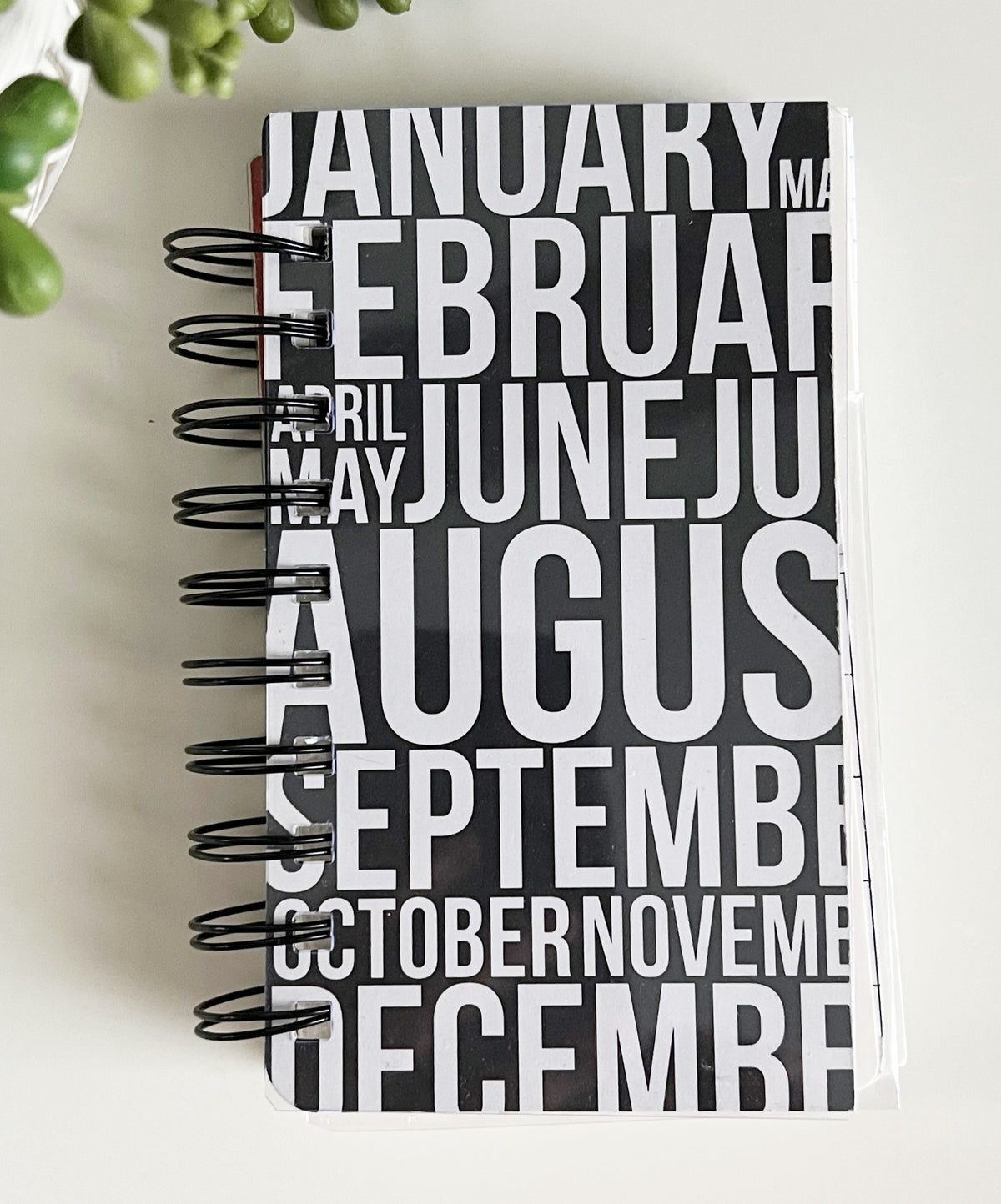 Journal -Small size, Big Alpha: Address Notebook