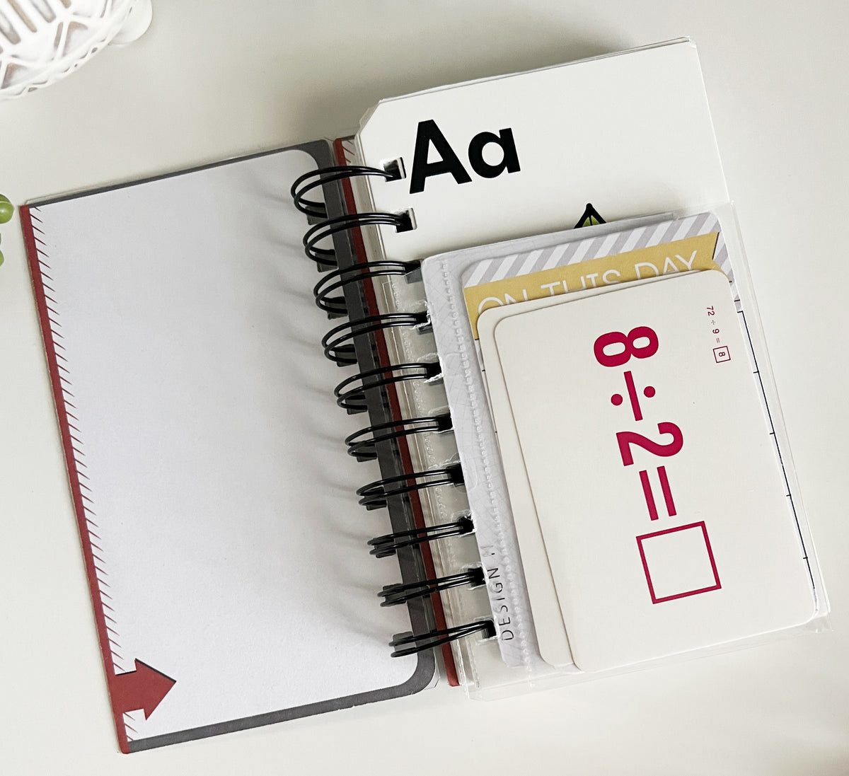 Journal -Small size, Big Alpha: Address Notebook