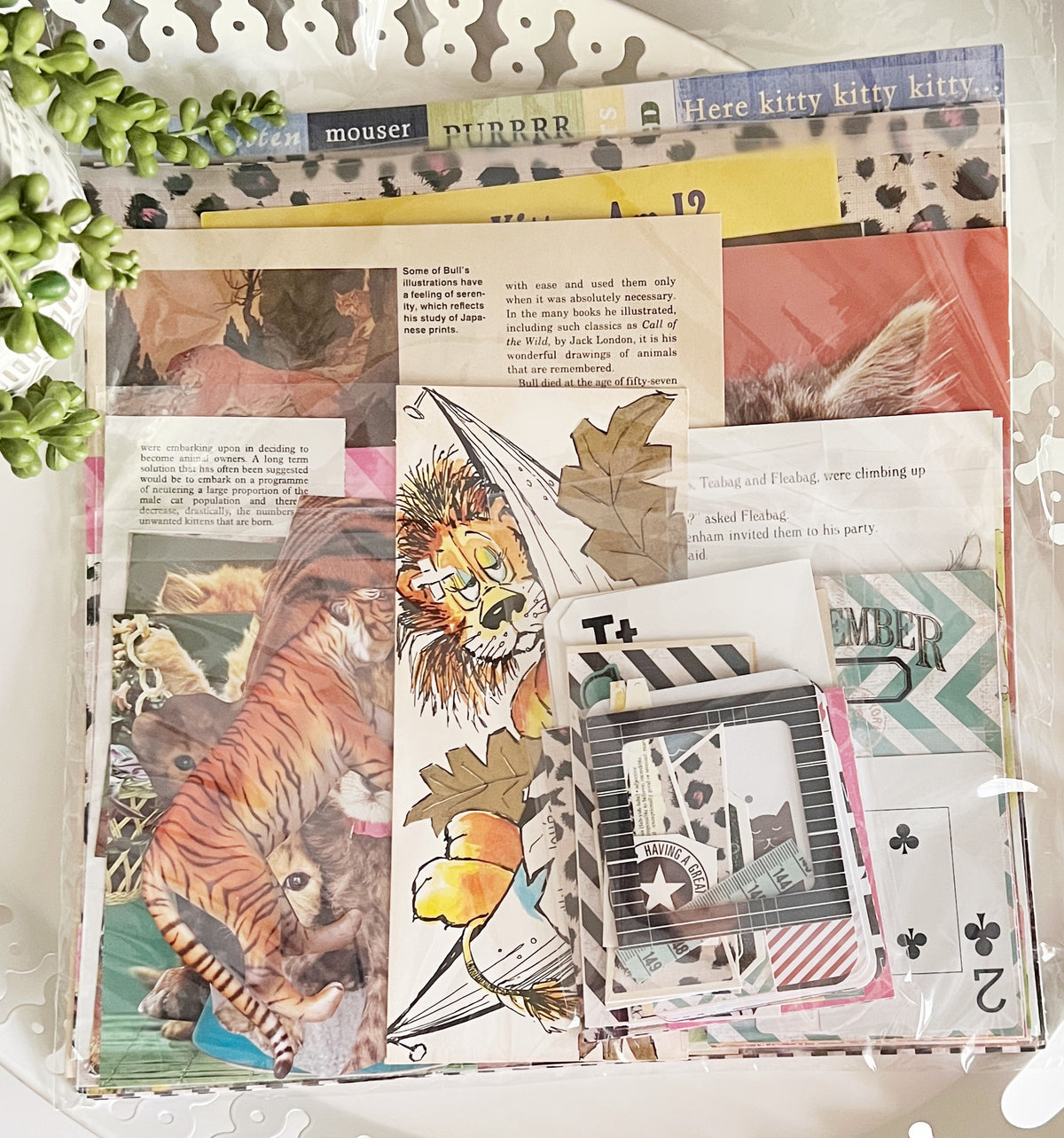 Lions, Tigers ... Cats! De-Stash Scrap Pack