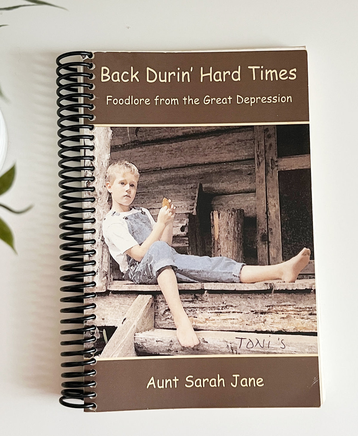 Back Durin' Hard Times - Jaine (Jane) Treadwell – 1995